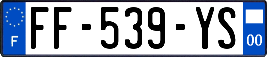 FF-539-YS