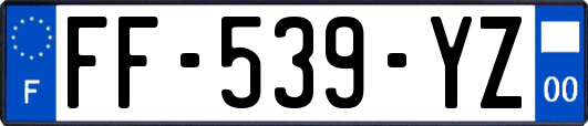 FF-539-YZ