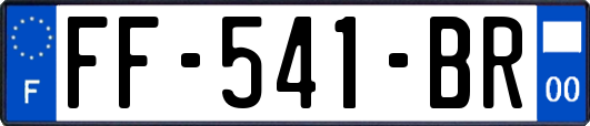 FF-541-BR