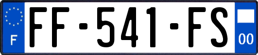 FF-541-FS