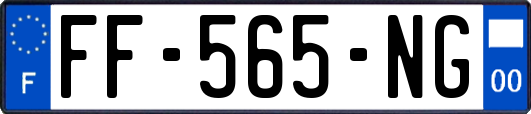 FF-565-NG