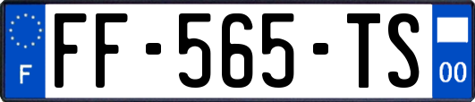 FF-565-TS