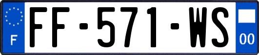 FF-571-WS