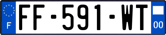 FF-591-WT