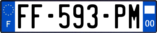 FF-593-PM