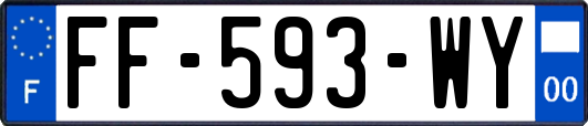 FF-593-WY