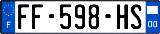 FF-598-HS