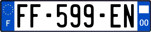 FF-599-EN