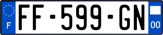 FF-599-GN