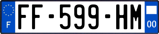 FF-599-HM