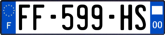 FF-599-HS
