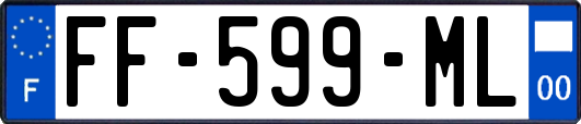 FF-599-ML