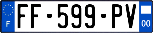 FF-599-PV