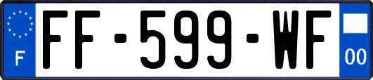FF-599-WF