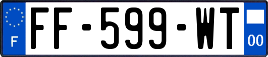 FF-599-WT