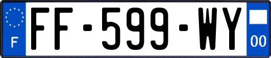 FF-599-WY