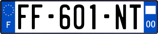 FF-601-NT