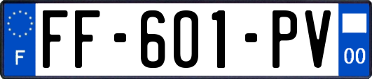 FF-601-PV