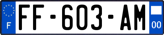 FF-603-AM