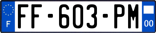 FF-603-PM