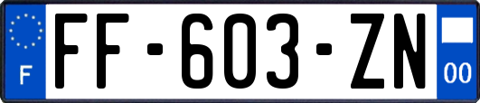 FF-603-ZN