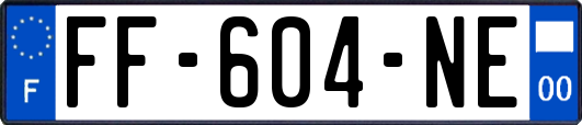 FF-604-NE