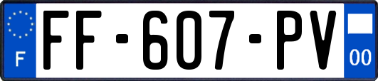 FF-607-PV
