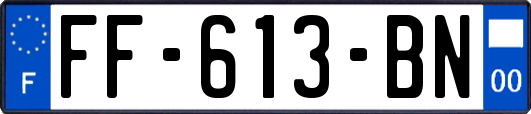 FF-613-BN