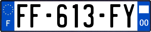 FF-613-FY