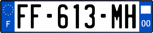 FF-613-MH