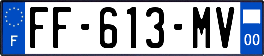 FF-613-MV