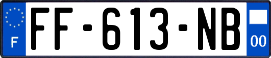 FF-613-NB