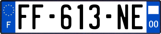 FF-613-NE