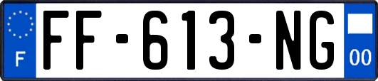 FF-613-NG