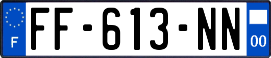 FF-613-NN