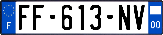 FF-613-NV