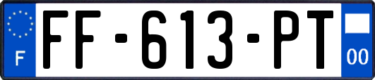 FF-613-PT