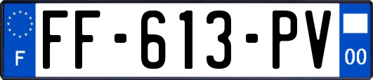 FF-613-PV