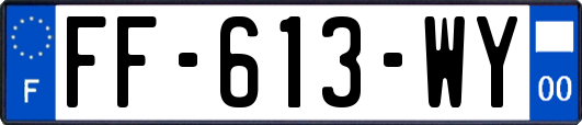 FF-613-WY