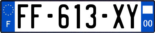 FF-613-XY