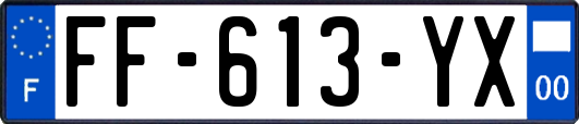 FF-613-YX