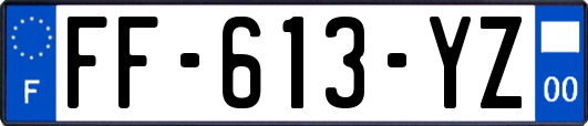 FF-613-YZ