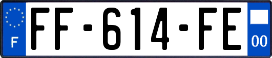 FF-614-FE