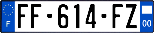FF-614-FZ