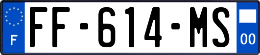 FF-614-MS
