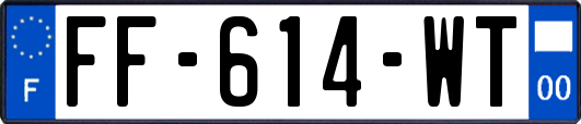 FF-614-WT