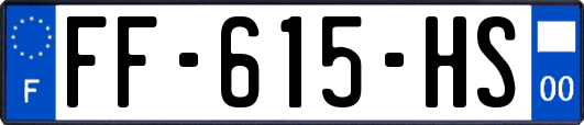 FF-615-HS