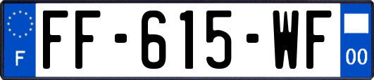FF-615-WF