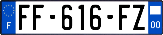 FF-616-FZ