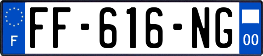 FF-616-NG